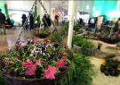 نمایشگاه تخصصی گل و گیاه قم آغاز بکار کرد