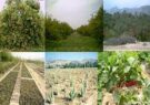 بهره‌برداری از ۳۵ طرح کشاورزی در قم