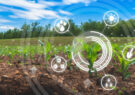 پردیس فناوری جهاد کشاورزی قم به زودی افتتاح می‌شود