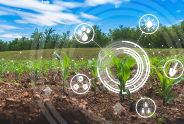 پردیس فناوری جهاد کشاورزی قم به زودی افتتاح می‌شود