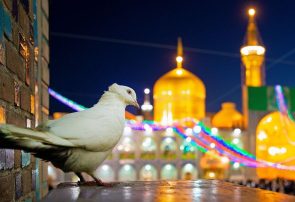 آقا سایه‌ات روی سر مملکتمان مستدام