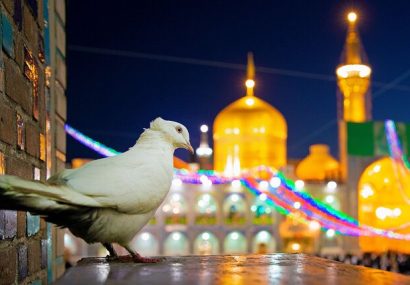 آقا سایه‌ات روی سر مملکتمان مستدام