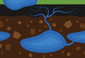 سفرههای قم خالی از آب میشوند سفرههای قم خالی از آب میشوند