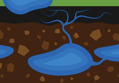 سفرههای قم خالی از آب میشوند سفرههای قم خالی از آب میشوند