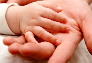 از دانه‌ی امید تا درخت تناور: نقش فرزندآوری در پویایی جامعه