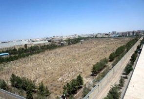 باغ‌هایی که داشتیم؛ قم و ضرورت بازگشت به تنفس سبز