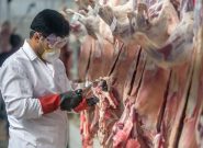 معدومسازی ۲۵۰ کیلو گوشت فاسد در یکی از رستورانهای قم معدومسازی ۲۵۰ کیلو گوشت فاسد در یکی از رستورانهای قم