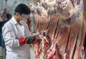 معدومسازی ۲۵۰ کیلو گوشت فاسد در یکی از رستورانهای قم معدومسازی ۲۵۰ کیلو گوشت فاسد در یکی از رستورانهای قم